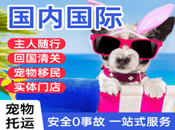 伊春空运公司国际宠物托运 【国